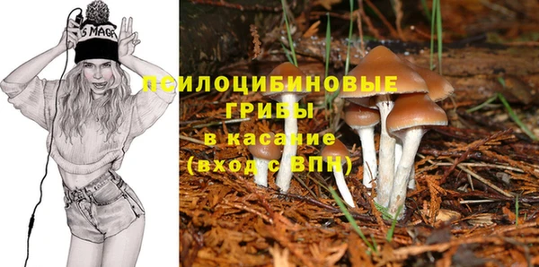 МДПВ Белокуриха