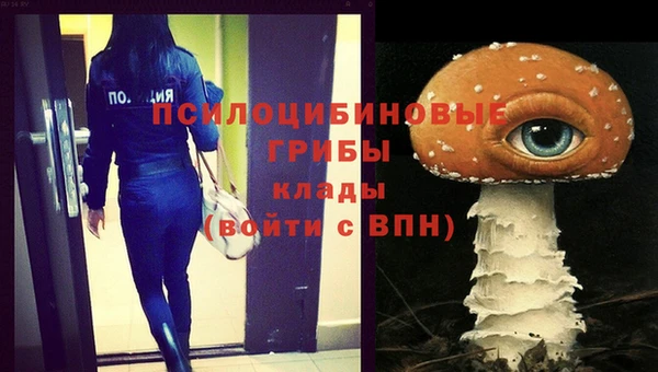 МДПВ Белокуриха